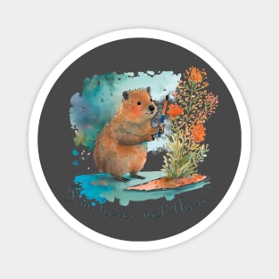 The quokka. The magical nature of Australia. Magnet